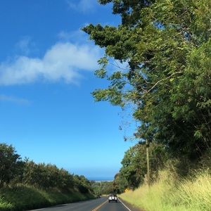 Meet your Posher, Maya